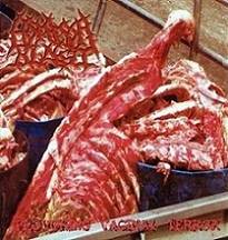 Splattered Cavities : Provoking Vaginal Terror - Gore Is Love